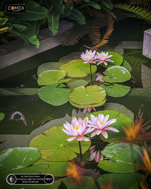 Học viên Mai Phan Khiêm