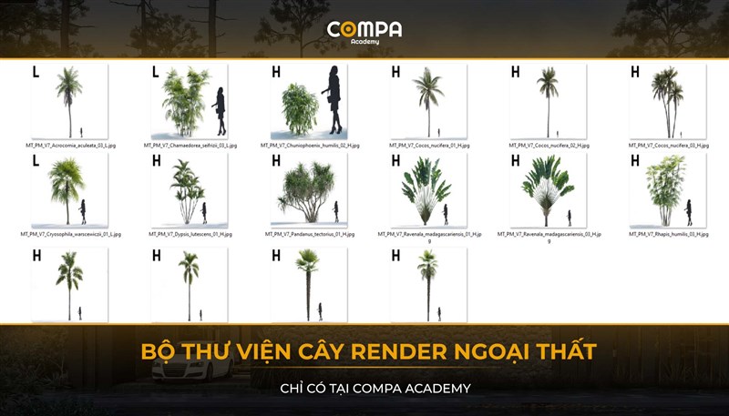 COMPA ACADEMY TẶNG BẠN 1 VOL THƯ VIỆN CÂY SIÊU CHẤT 