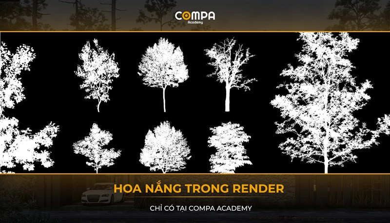 HOA NẮNG TRONG RENDER