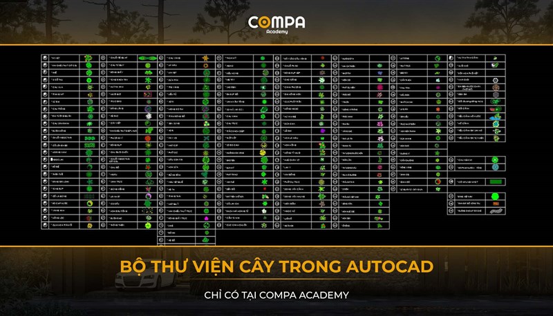 BỘ THỰ VIỆN CÂY TRONG AUTOCAD