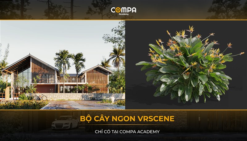 COMPA ACADEMY SHARE TẶNG BỘ CÂY NGON VRSCENE