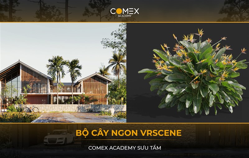 COMEX ACADEMY SHARE TẶNG BỘ CÂY NGON VRSCENE