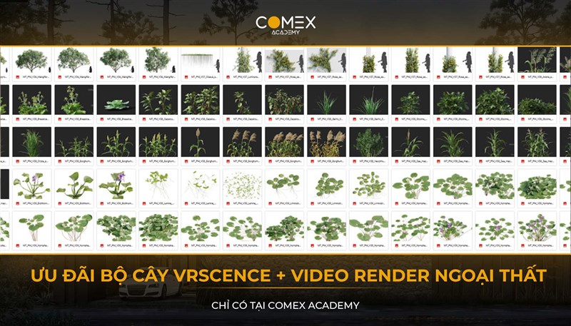 COMEX ACADEMY ƯU ĐÃI BỘ HƠN 900 CÂY RENDER NGOẠI THẤT + BỘ VIDEO V-RAY RENDER NGOẠI THẤT CỰC CHẤT 