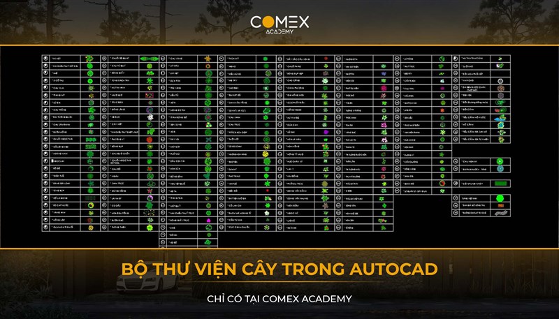 BỘ THỰ VIỆN CÂY TRONG AUTOCAD
