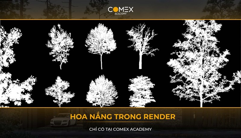 HOA NẮNG TRONG RENDER