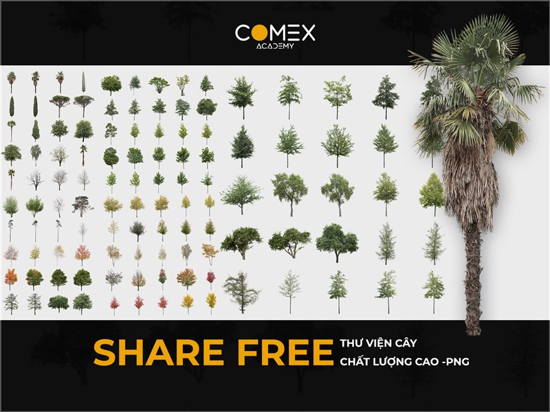 THƯ VIỆN CÂY CHẤT LƯỢNG CAO - PNG